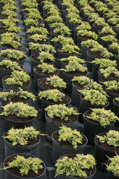 托儿所图片下载