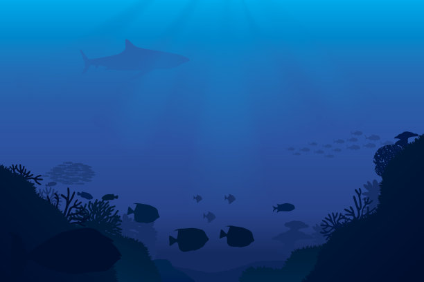 海洋生物图片下载