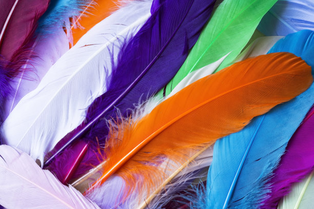 彩色的羽毛图片下载