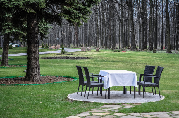 自然的餐厅餐桌图片下载