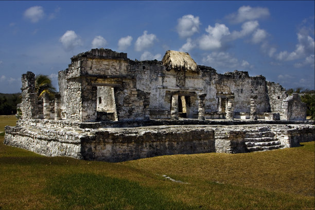 美洲墨西哥的野角图兰图片下载