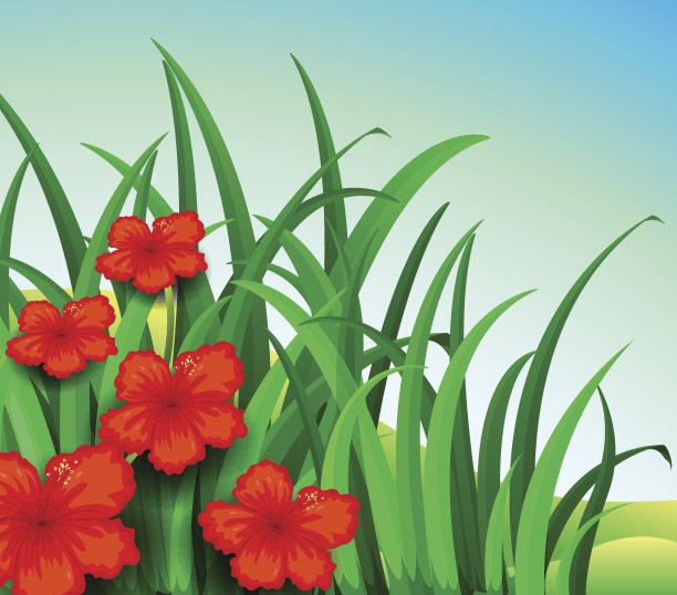 红花花园图片下载