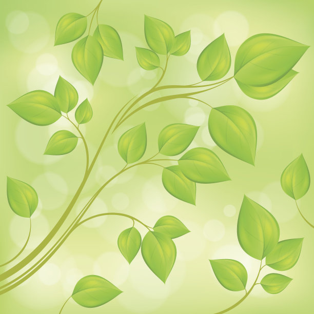 春天的树枝上长着嫩绿的嫩叶图片下载