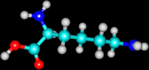 在黑色上分离的赖氨酸分子图片下载