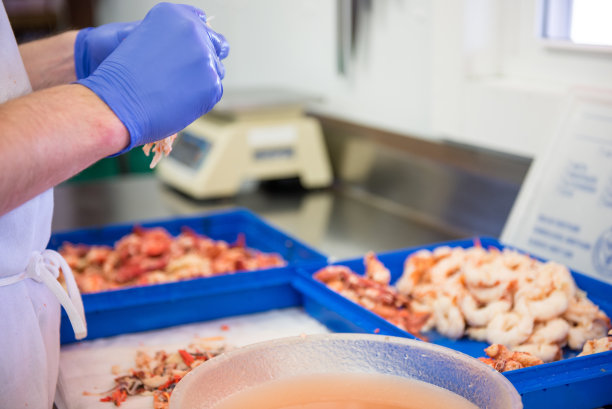 清洗龙虾肉图片下载