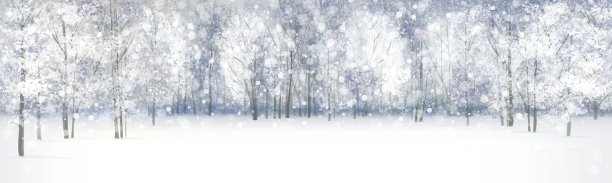 冬季景观矢量，森林降雪。图片下载