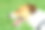 方和下颌图片下载