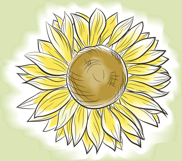 向日葵模仿水彩画图片下载