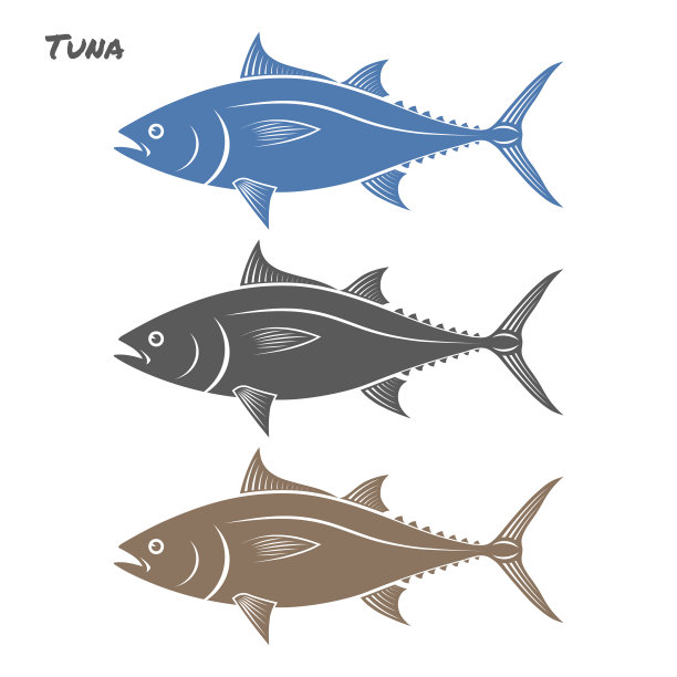 金枪鱼鱼矢量插图在白色的背景素材图片