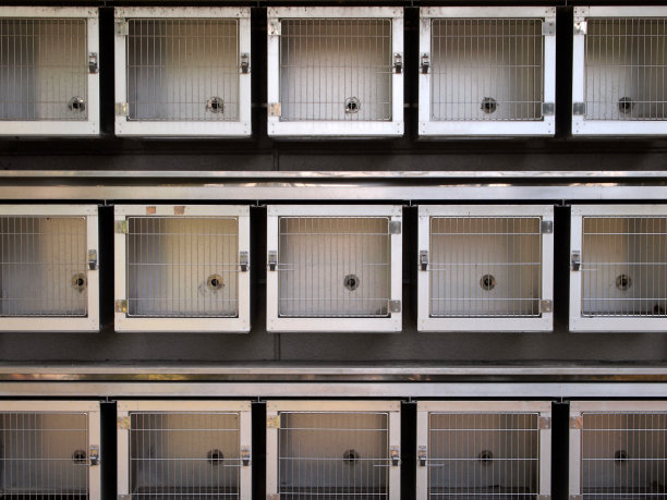 无数的笼子里图片下载