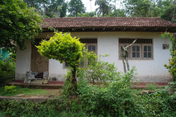 斯里兰卡热带地区的房子图片下载