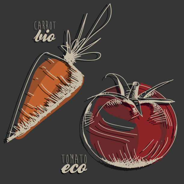 西红柿和胡萝卜图片下载