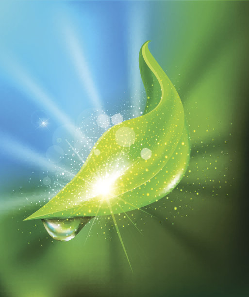 向量抽象背景绿叶和一滴露珠图片下载