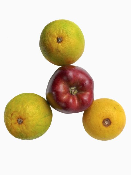 甜柠檬和苹果。c . sinensis图片下载