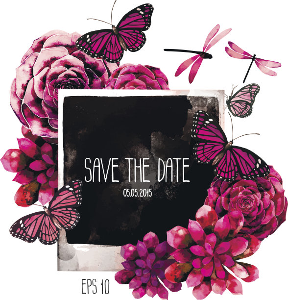 水彩宝丽来照片多肉，蝴蝶和蜻蜓图片下载