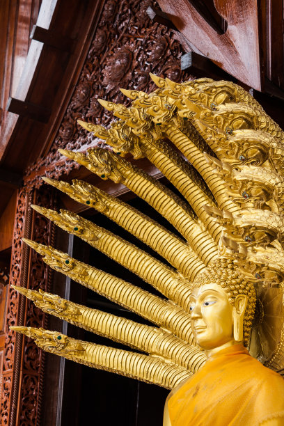 佛陀头上戴着娜迦图片下载