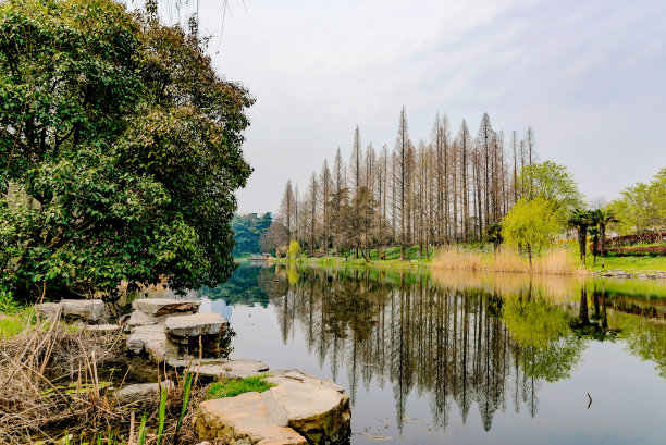 南京的玄武湖图片下载