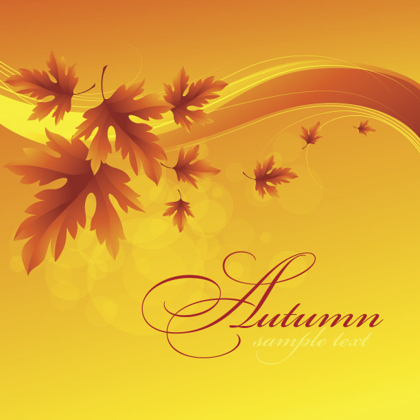 落叶抽象的背景图片下载