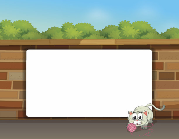 猫和一块白板图片下载