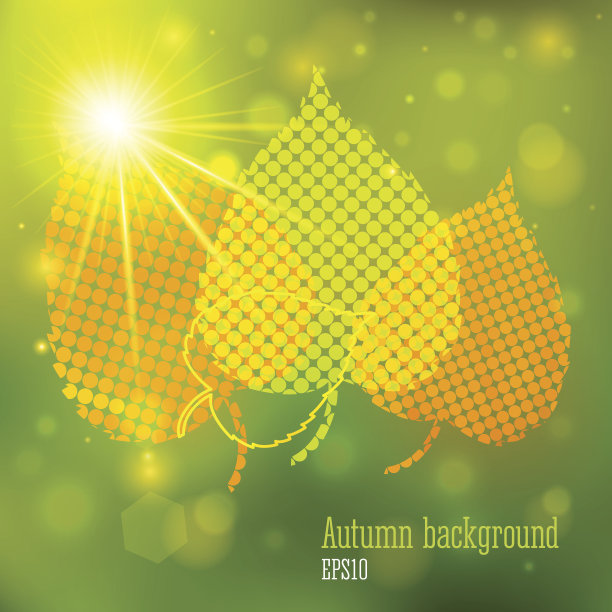 秋天的背景是灯光和黄叶图片下载