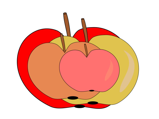 彩色苹果孤立在白色背景图片下载