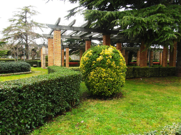 在公园里散步图片下载