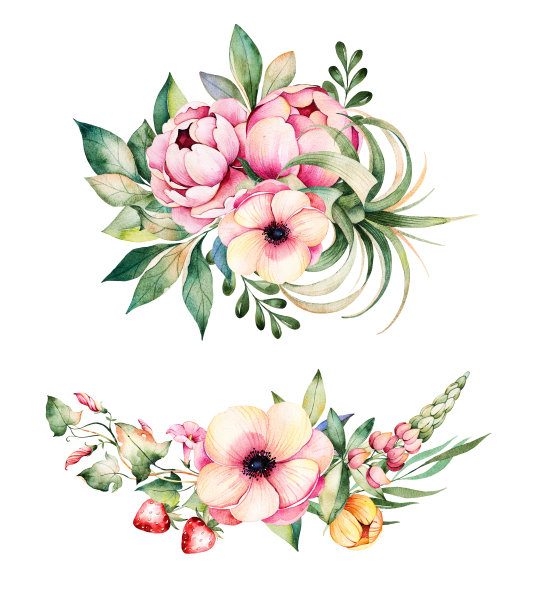 彩色的花束收集图片下载