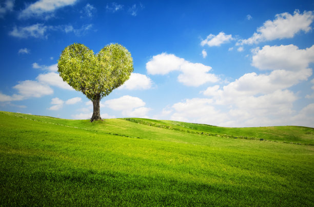 心形的情人节圣诞树图片下载