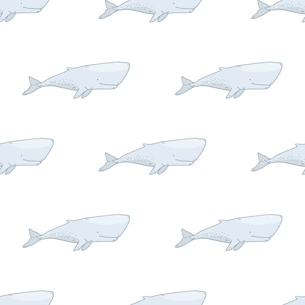 海洋生物鲸鱼模式素材图片