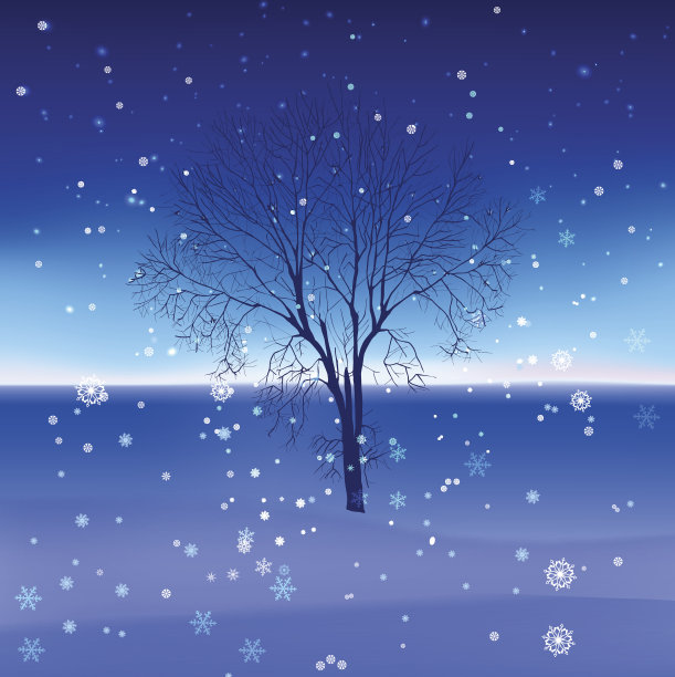 05年_snow景观图片下载