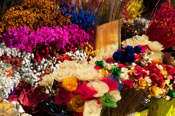 五彩缤纷的干燥花图片下载