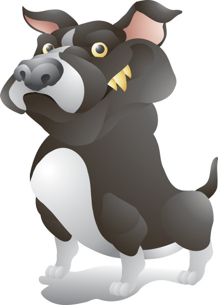 黑比特斗牛梗犬图片下载