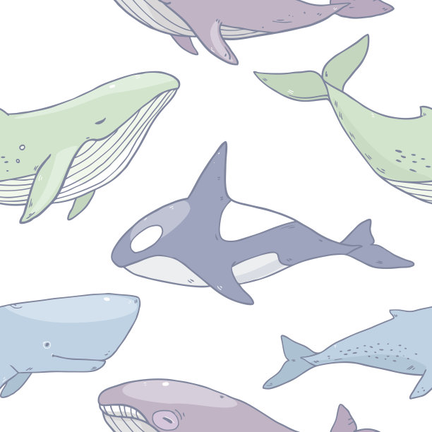 海洋生物鲸鱼模式素材图片