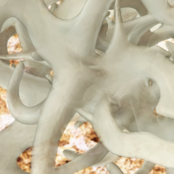 筋膜- 3d渲染插图图片下载