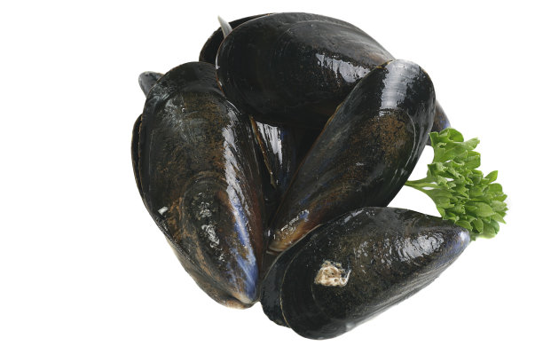 煮贻贝图片下载