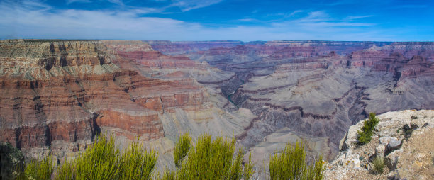 大峡谷植被的全景图片下载
