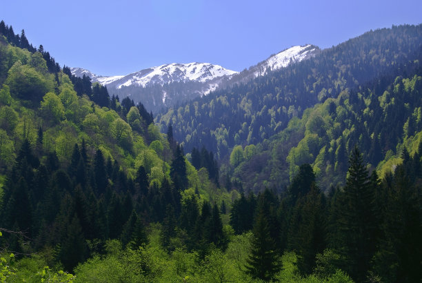 夏天的乔治亚山脉图片下载