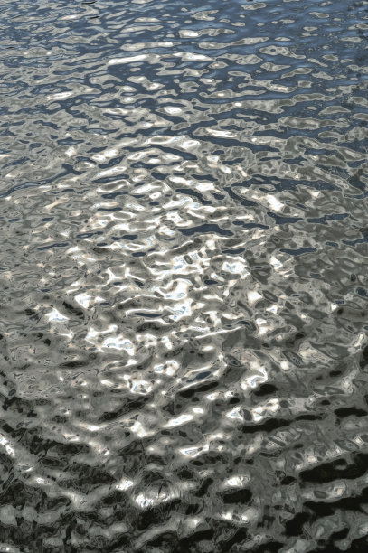 水面上泛起涟漪图片下载