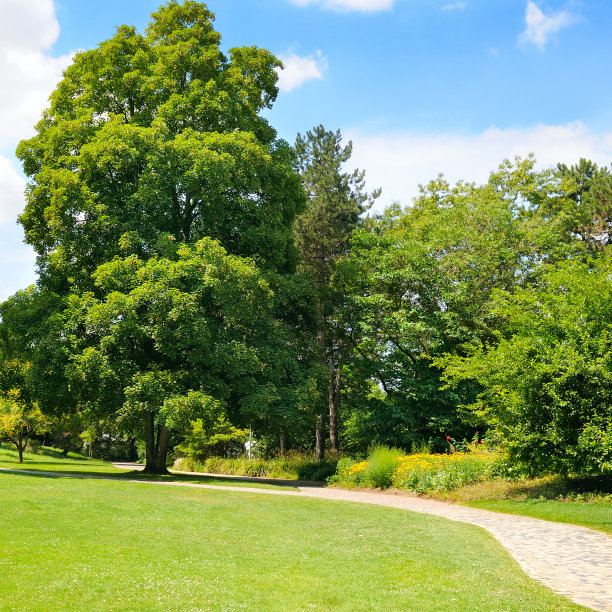公园和蓝天图片下载
