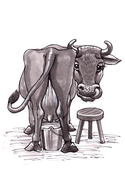 牛(卡通)图片下载