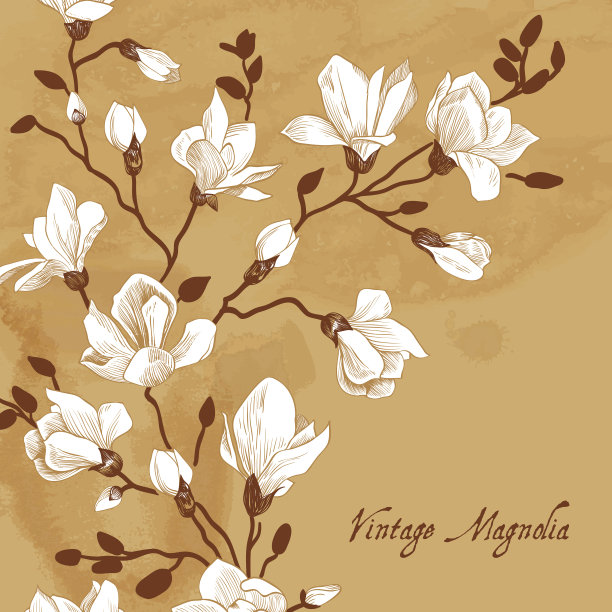 老式棕色卡片与木兰图片下载