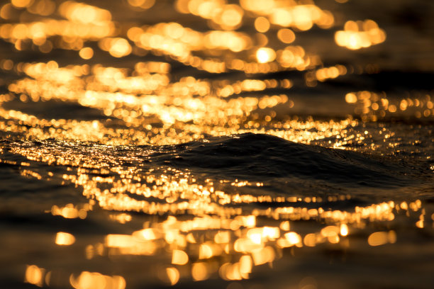 池水波以金散图片下载