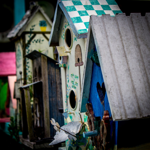 行鸟屋图片下载