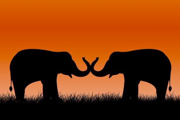 大象轮廓图片下载