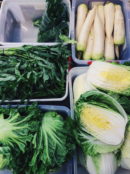 亚洲蔬菜浴缸图片下载