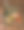 旧桌子上放着橄榄油和西红柿的橄榄面包图片下载
