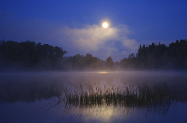 满月。图片下载