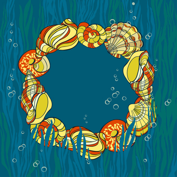 手绘贝壳、海草和?泡沫卡图片下载