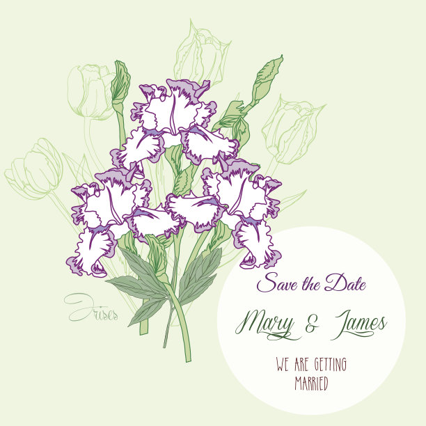 有三朵鸢尾花的花束图片下载