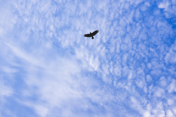 美丽的云在蓝天图片下载